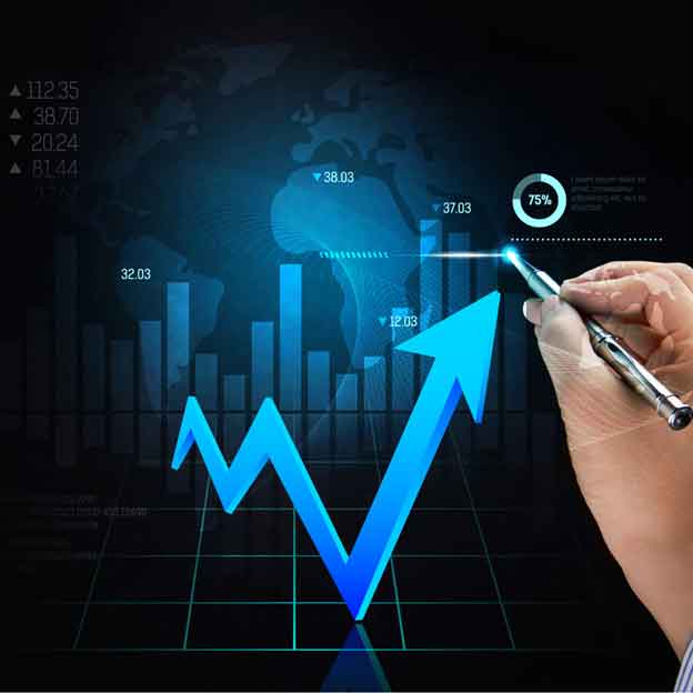 Financial Risk Management (FRM)